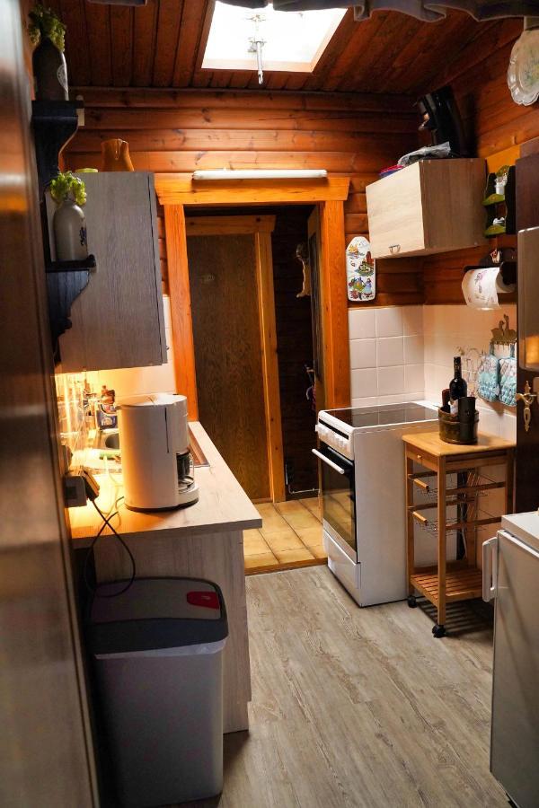 Ferienblockhaus Harzidyll Apartment Wieda Ngoại thất bức ảnh