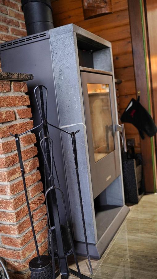 Ferienblockhaus Harzidyll Apartment Wieda Ngoại thất bức ảnh